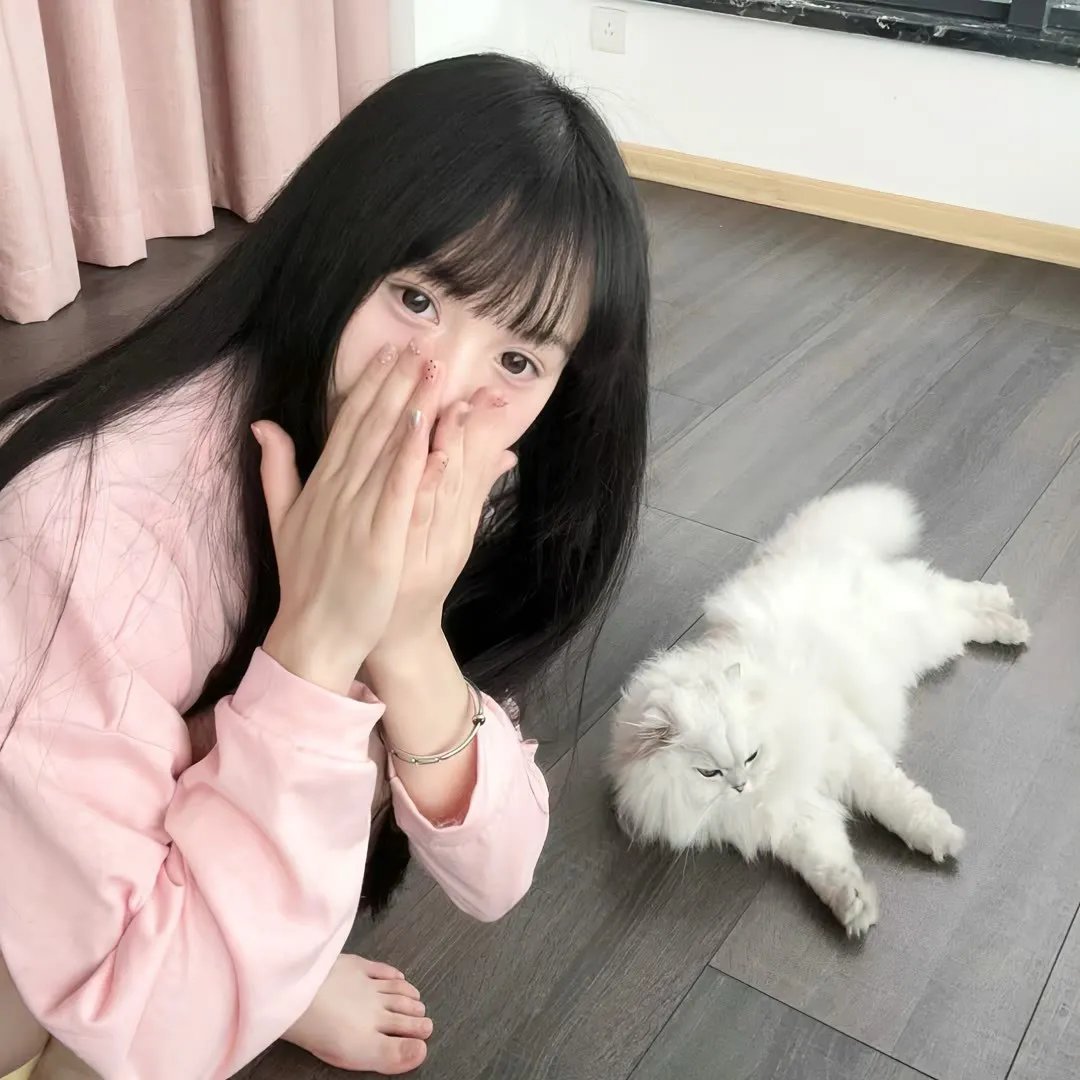 天罗地网